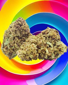 Amnésia CBD Saveurs exotiques