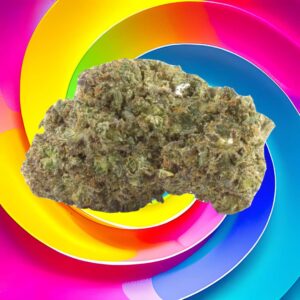 mage de la Black Domina THCV 20% : Une variété de cannabis envoûtante aux arômes de mangue juteuse et de vanille sucrée proposée par CBDPassion.